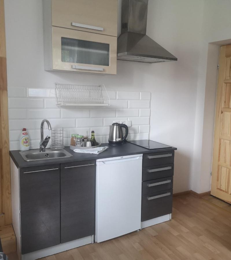 Willa Seba Zakopane Ngoại thất bức ảnh