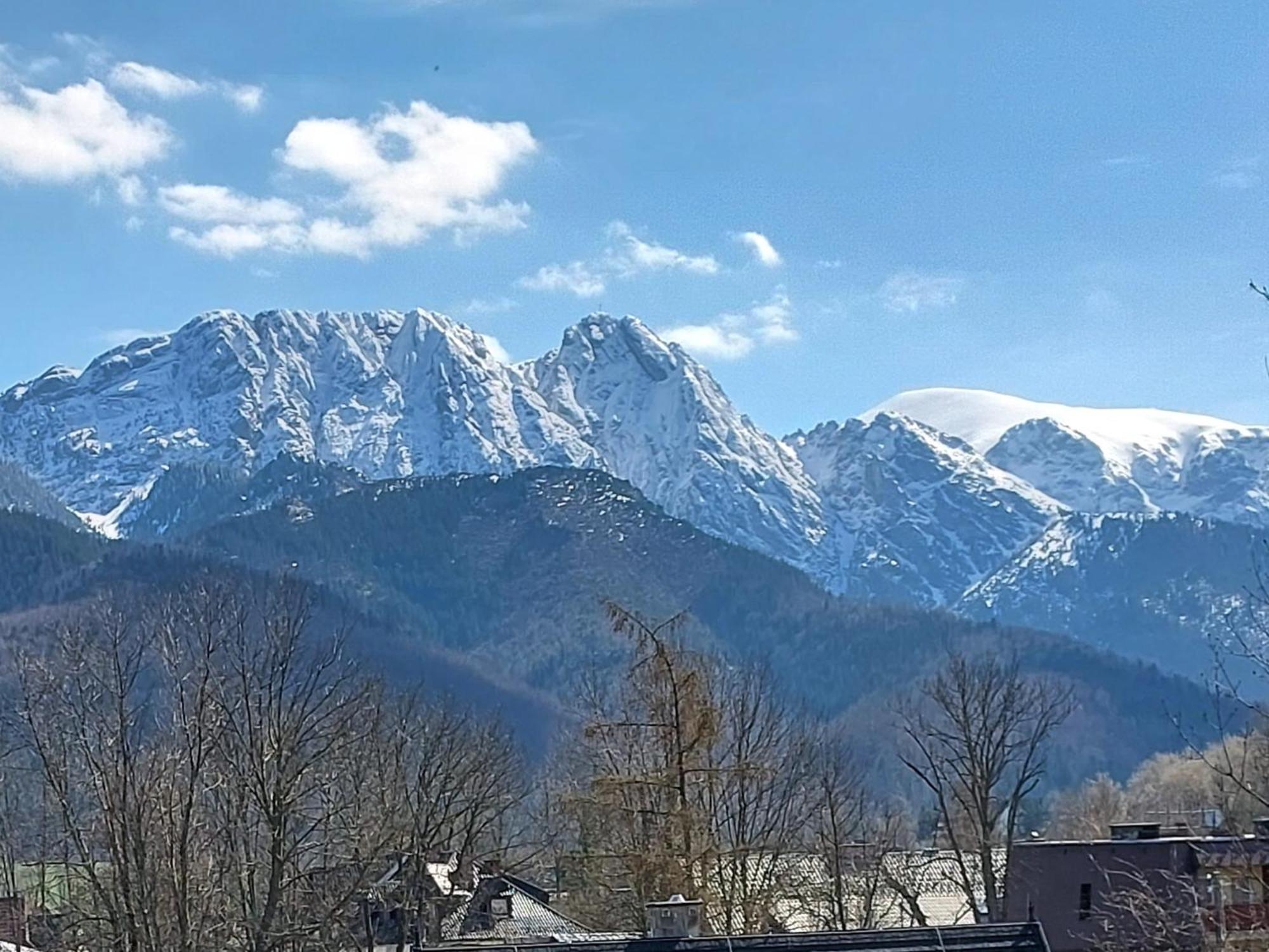 Willa Seba Zakopane Ngoại thất bức ảnh